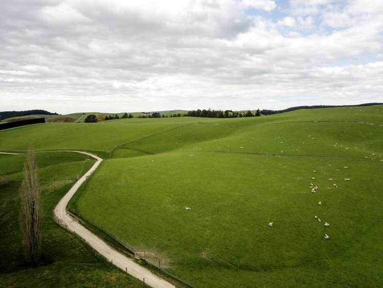 171 Monavale Road Albury_13