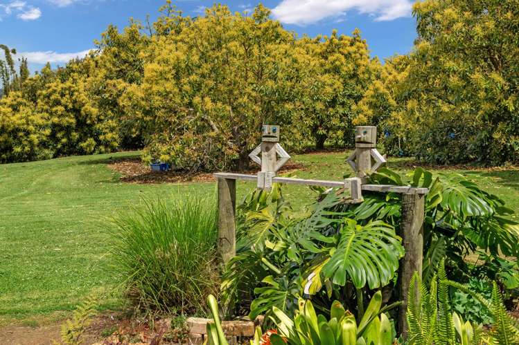 967 State Highway 14 Maungatapere_27