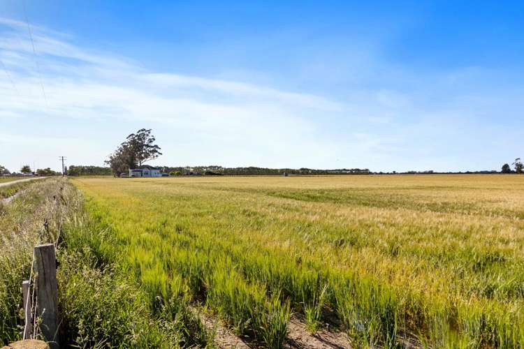 215 Falvey Road Levels_1