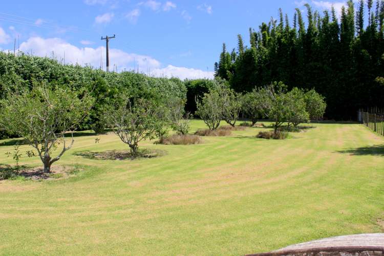 3 Doel Road Awanui_5