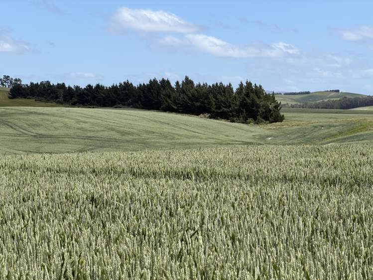 264 Dumfries Road, Taumata Clinton_11