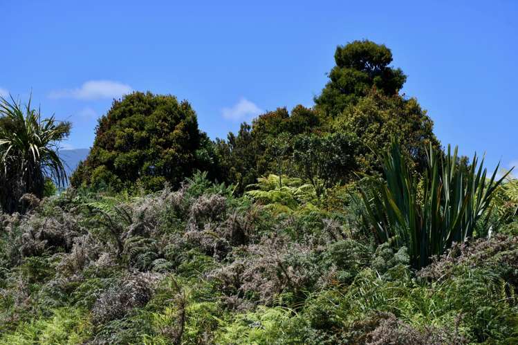 Lot 8 South Terrace Road Karamea_10