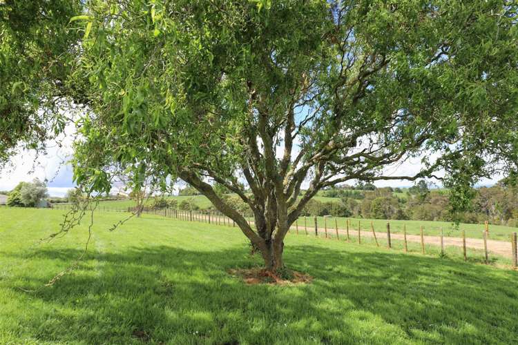 145 Hall Road Rangiriri_35