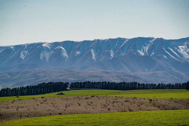 Tomich Heights, Tarras-Cromwell Road Cromwell_4