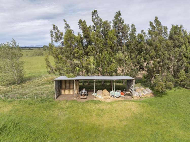 304 Acton Downs Road Acton_22