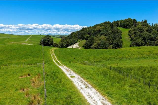 103 Mountain Road Kaiwaka_1