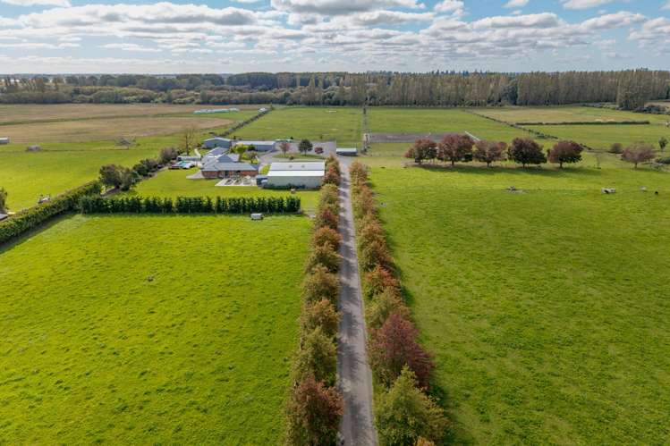 60 Hollands Road Tinwald_32