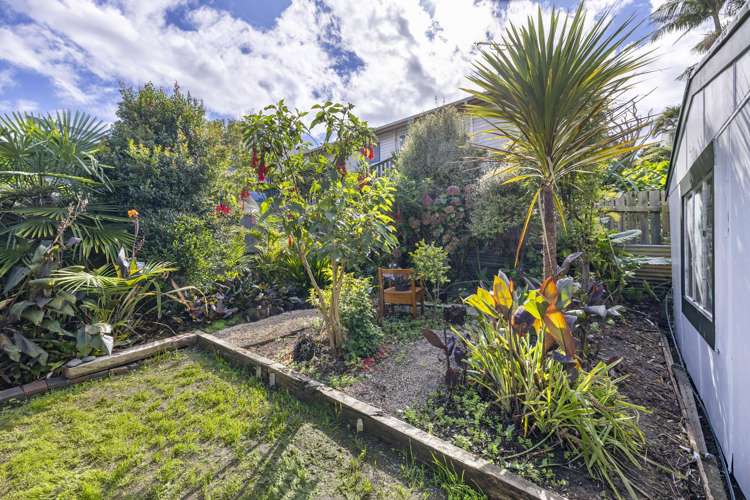 3 Violet Street Raglan_25