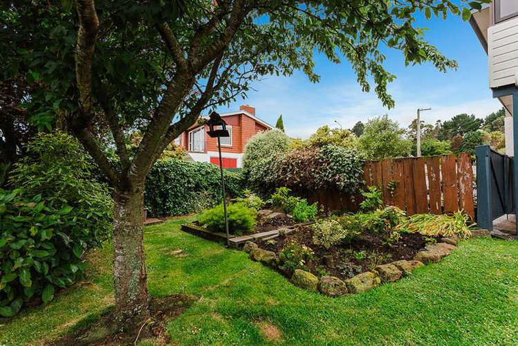 239 Highcliff Road Shiel Hill_16