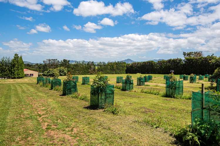 1700 State Highway 14 Maungatapere_16