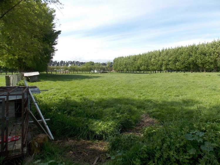 450 Kaikokopu Road Brunswick_7