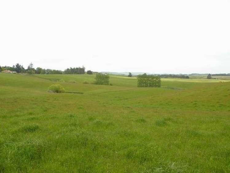 249 Ashley Downs Road Clinton and Surrounds_5