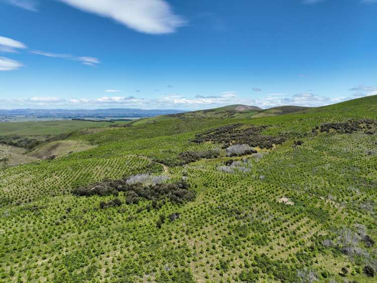 309a Mckenzie Road Lumsden Surrounds_7