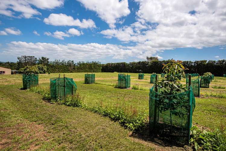 1700 State Highway 14 Maungatapere_22