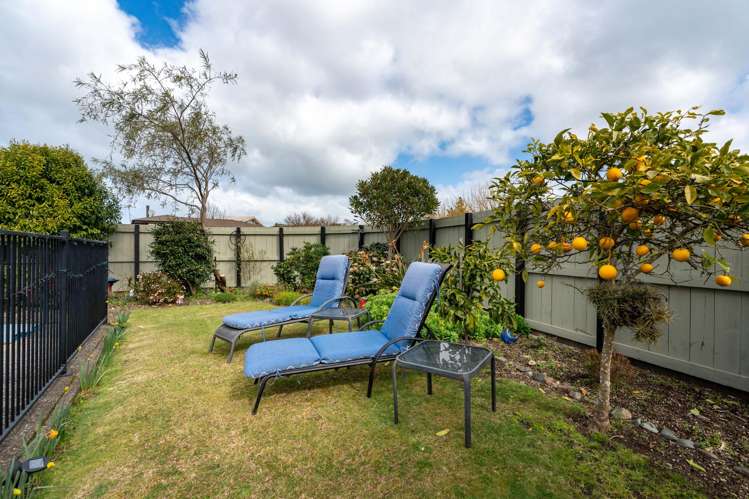 1 Irene Crescent Dinsdale_13