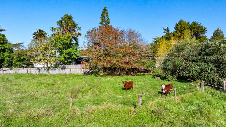 594 Waiuku-Otaua Road Otaua_46