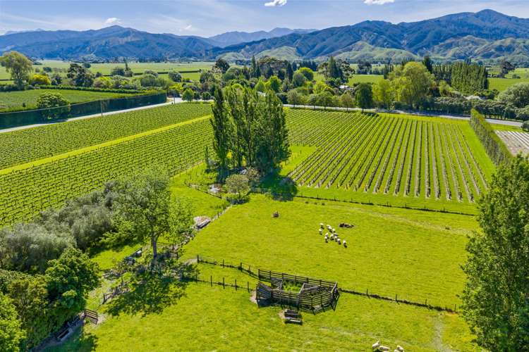 158 Murrays Road Rapaura_40