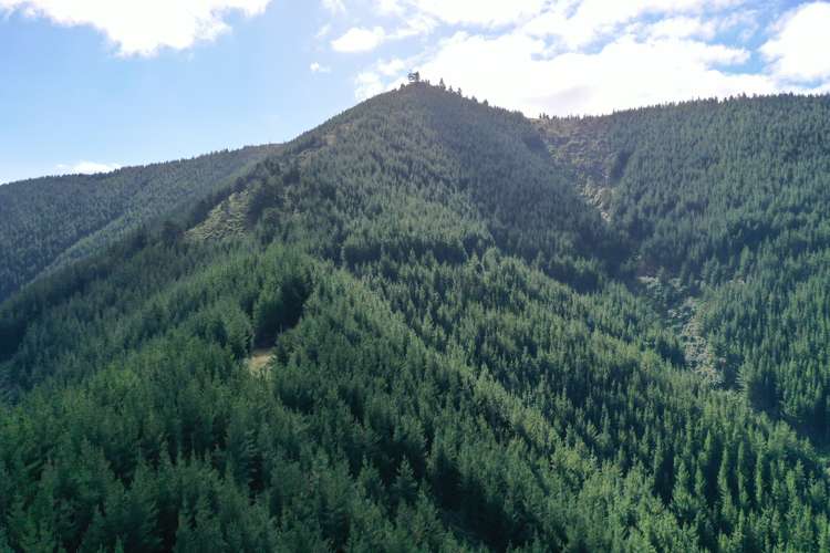 Queen Charlotte Forest, Onapua Bay Marlborough Sounds_19