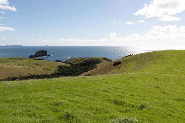 1811 Rangihoua Road Kerikeri_17