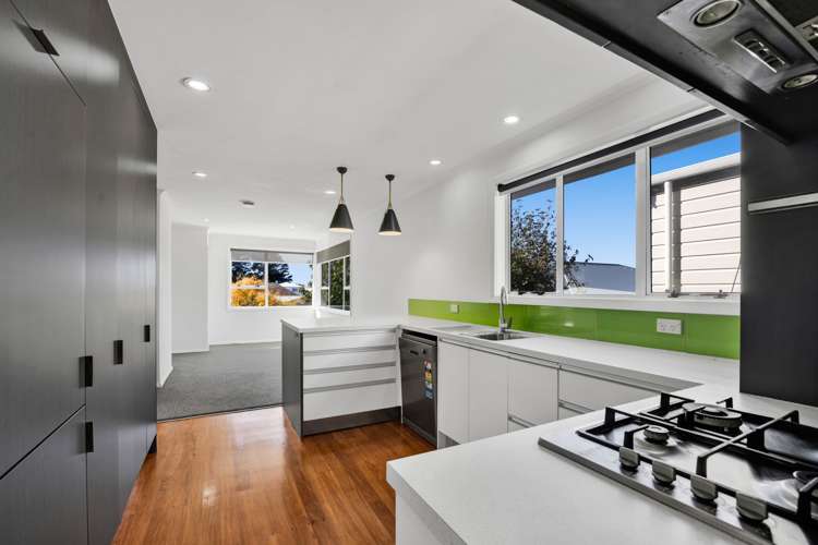 3a Waimea Street Westown_34