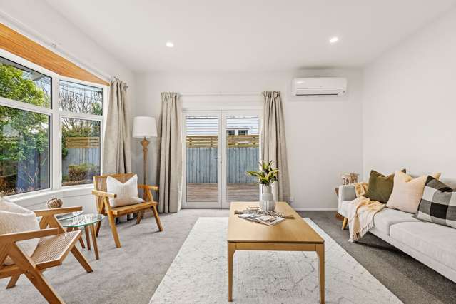 20 Montrose Street Sydenham_4