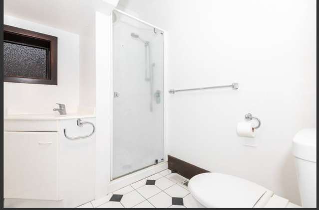 5 Lewisville Terrace Thorndon_4