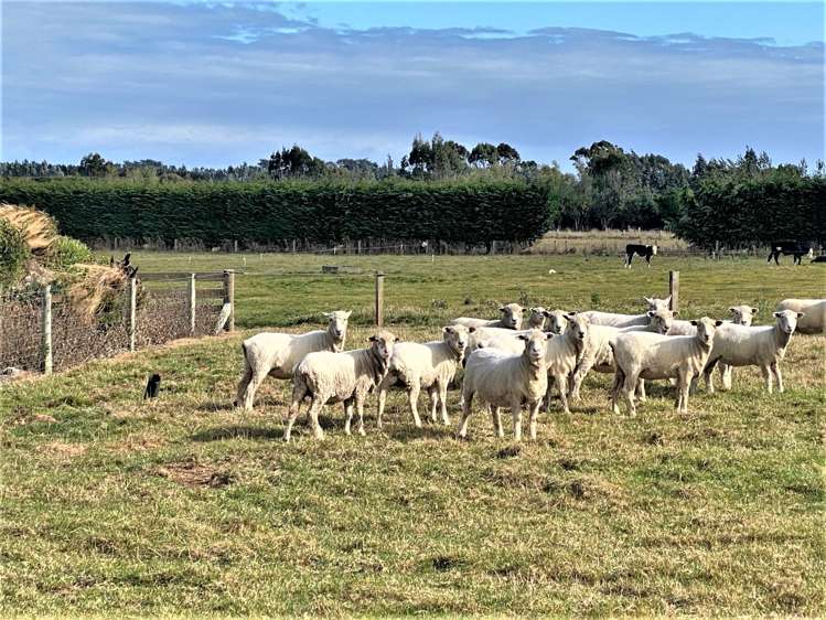 5 Kennington Roslyn Bush Road Mill Road_20