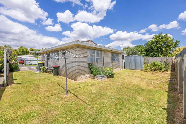 46 Livingstone Avenue Nawton_12