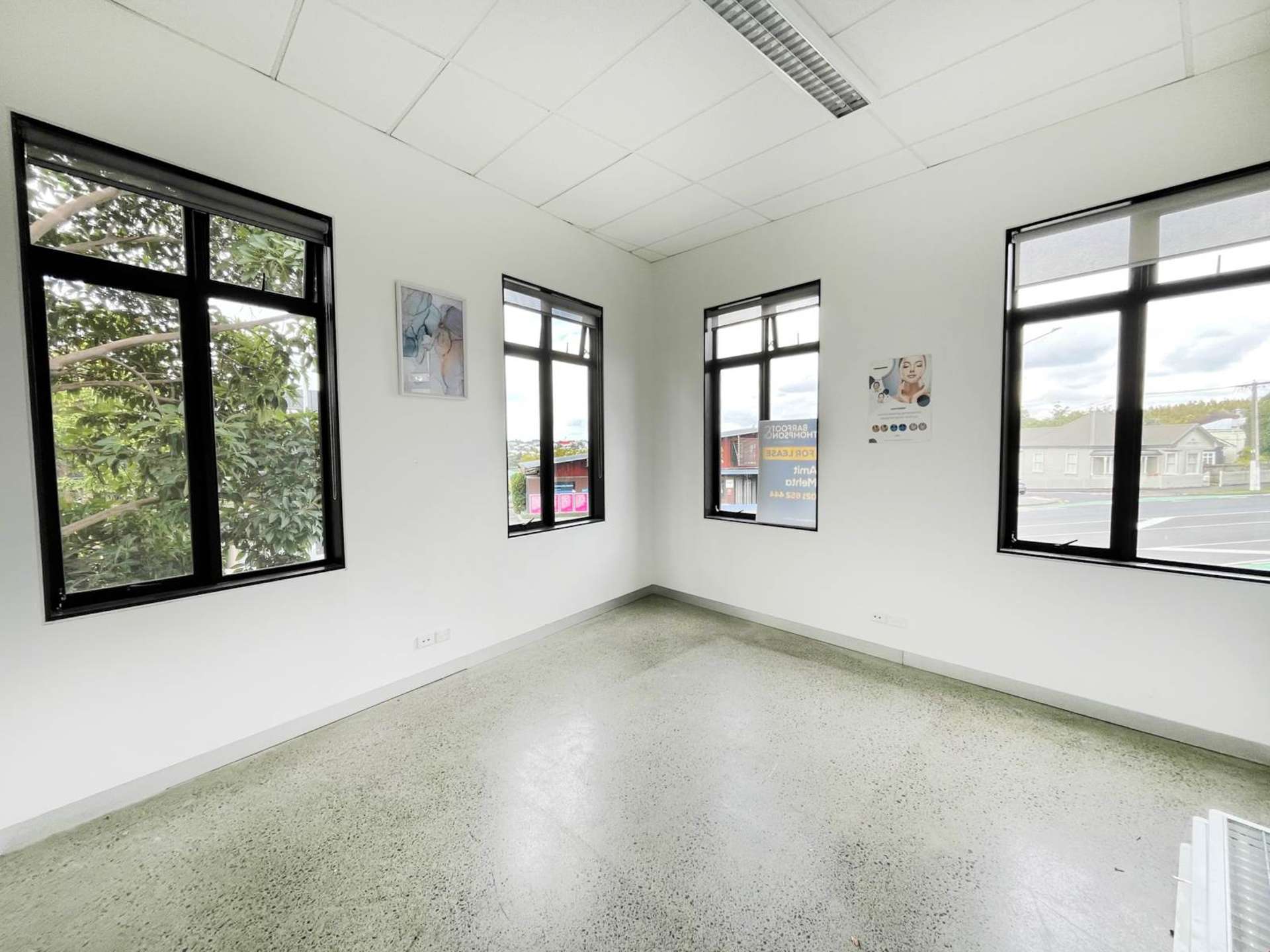 483 Richmond Road Grey Lynn_0