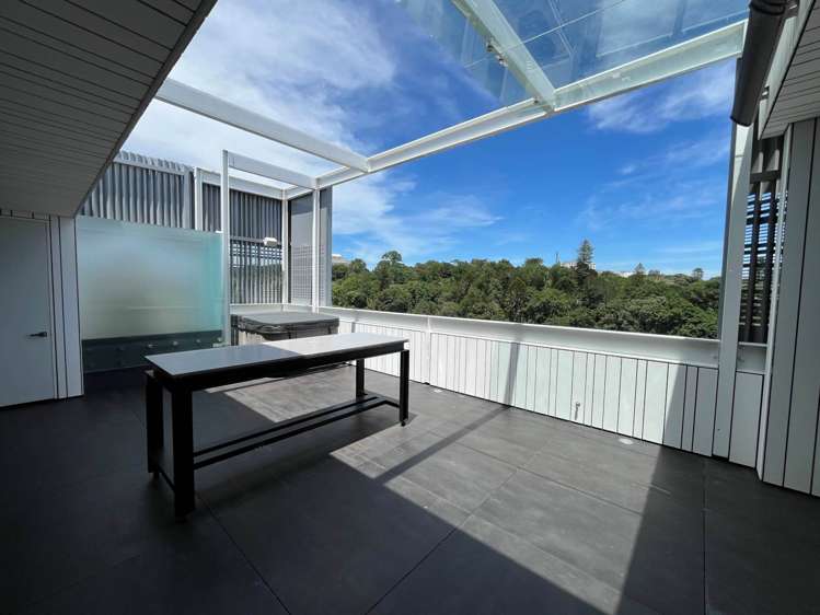 23 Falcon Street Parnell_8