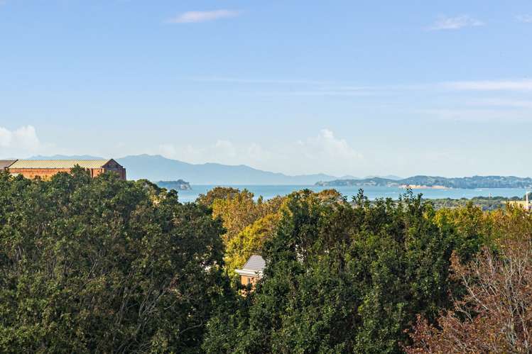 6a/27 George Street Newmarket_18