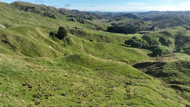 1191 Whangaehu Valley Road Whangaehu Valley_4