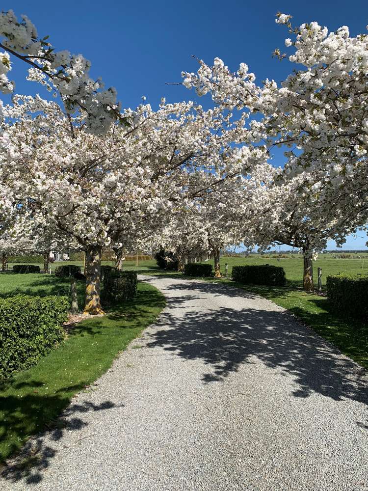 72 Winslow Willowby Road Winslow_17