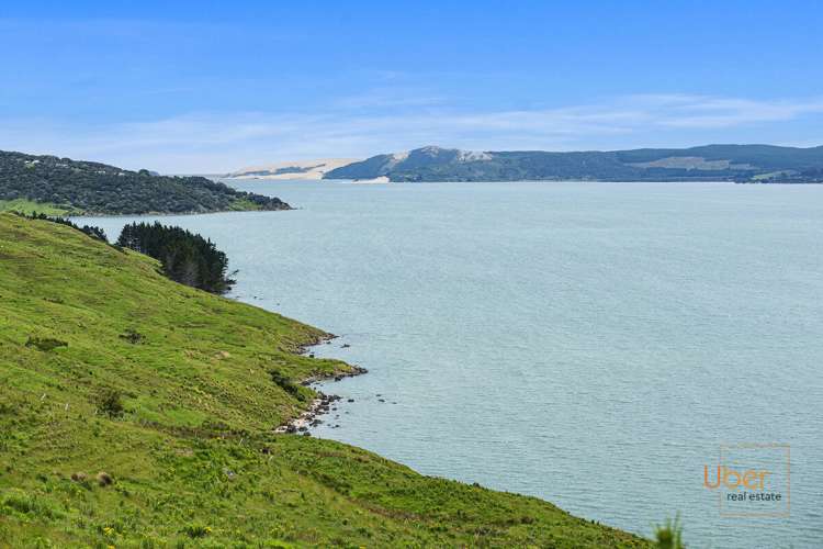 Brindle Road Whirinaki_21