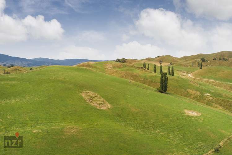 114 Makoura Road Apiti_5