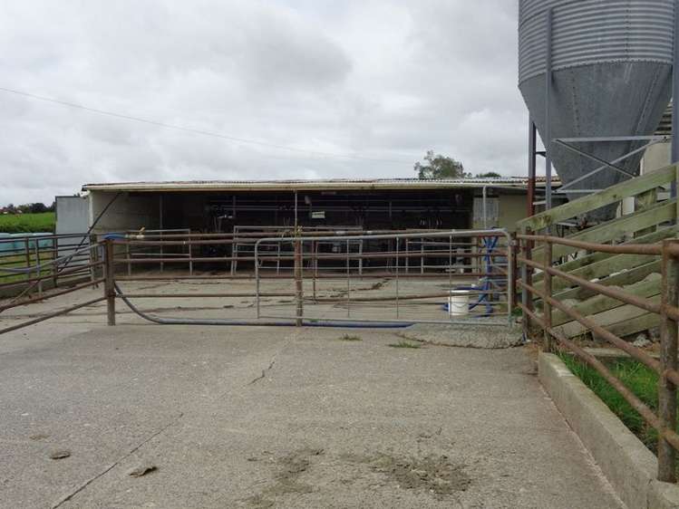 239 Roberts Road Cambridge_7