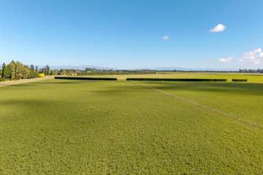 638 Telegraph Road_4