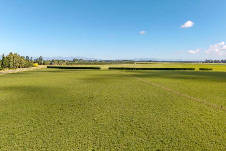 638 Telegraph Road Charing Cross_4