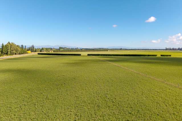 638 Telegraph Road Charing Cross_4