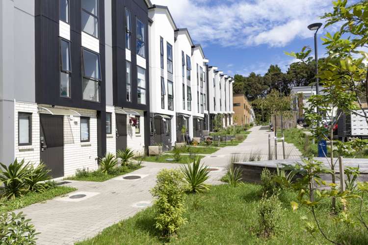 17 Morihana Close Glen Eden_31