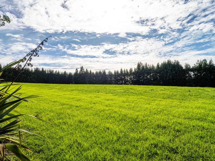 2 & 3/75 Riddell Road Kerikeri_12