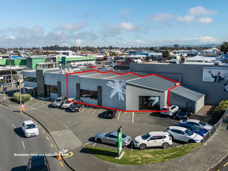 13 Carlyle Street Napier South_1