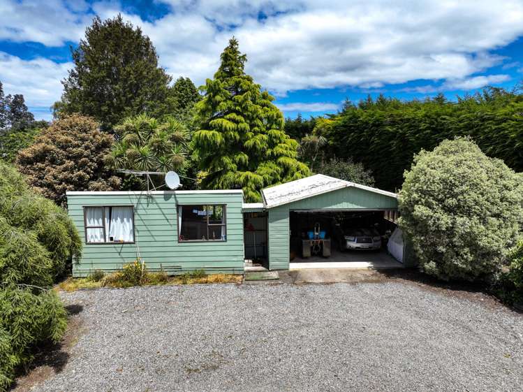 318 Waipango Ermedale Road Gummies Bush_7