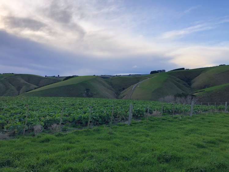 174 Mcculloch Road Balclutha_8