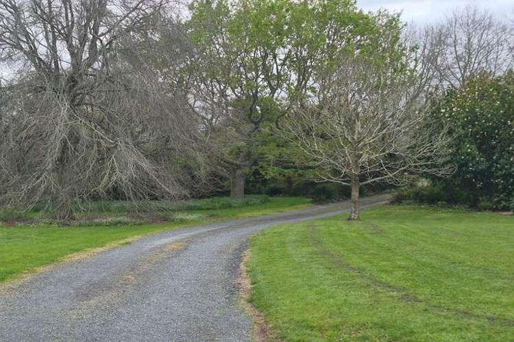 39 Manuwai Lane Drury_12