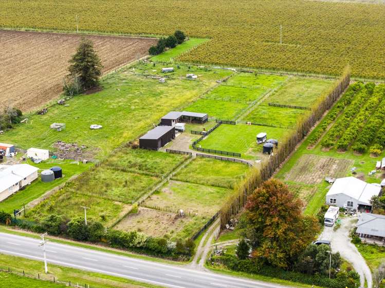 1290 Matawai Road Ormond_7