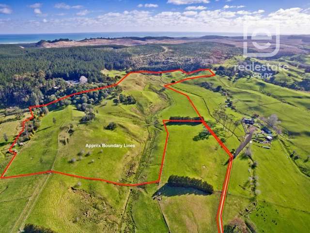 95 Twin Springs Drive Helensville_1