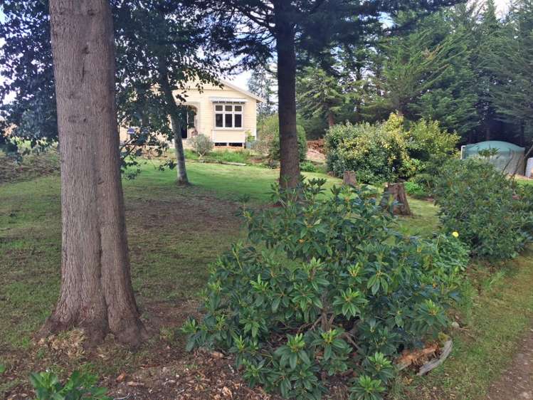 59 Settlement Hill Road Owaka_11