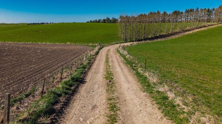 467 Waihaorunga Back Road Waimate_10