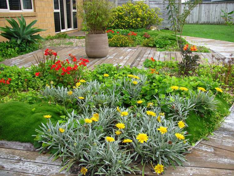 6 Magnolia Drive Matamata_17